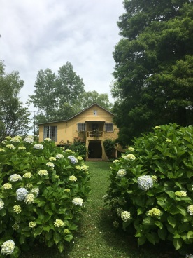 Silvia & Daniel's House